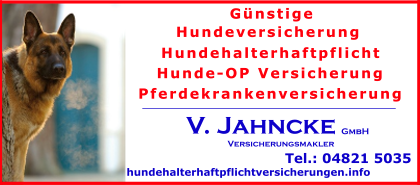 Haushund